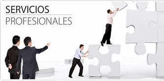 Servicios Profesionales